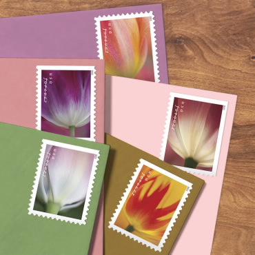 Tulip Blossoms Stamps, Sheet of 100