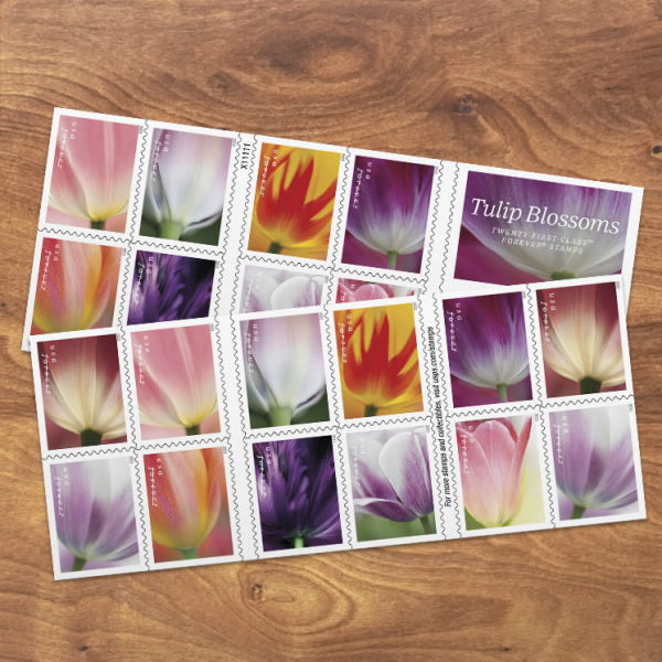 Tulip Blossoms Stamps, Sheet of 100